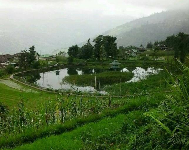Vamoose Bhutia Homestay - image 24