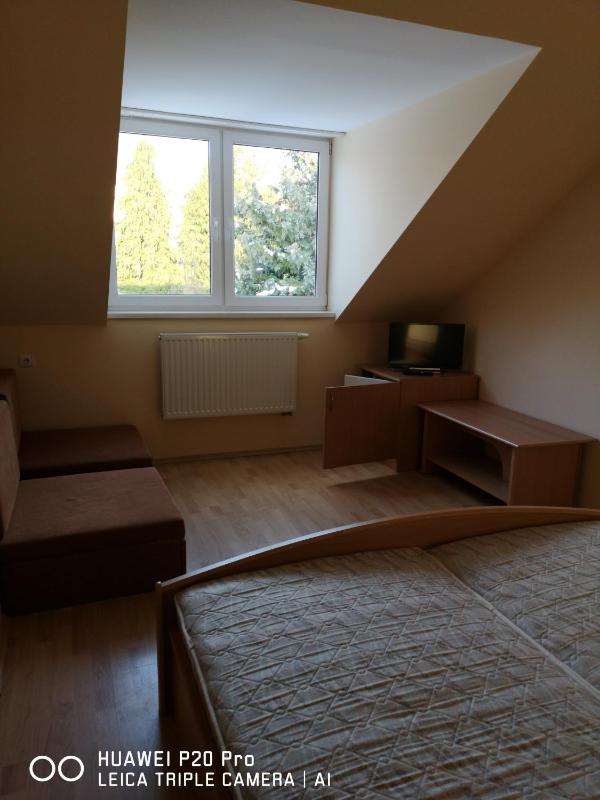 Standard Family Room image 2