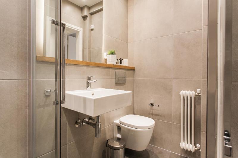 Two-Bedroom Apartment image 3