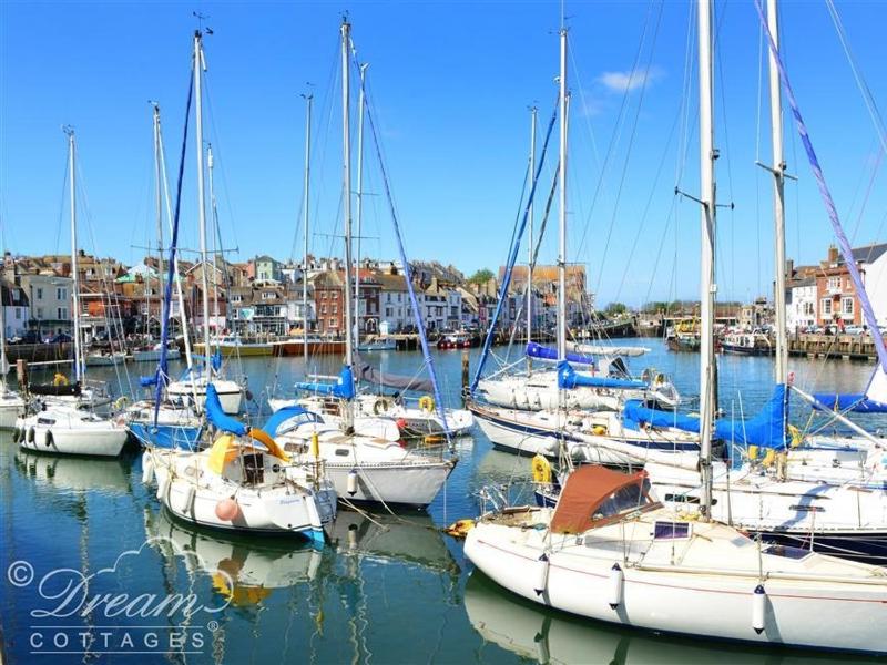 Dream View - image 23