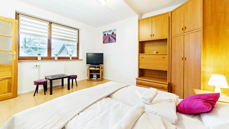 One-Bedroom Apartment image 3