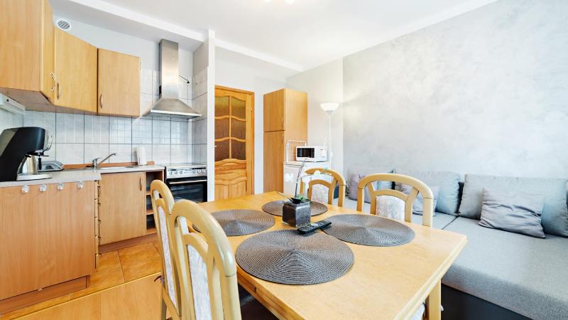 One-Bedroom Apartment image 4