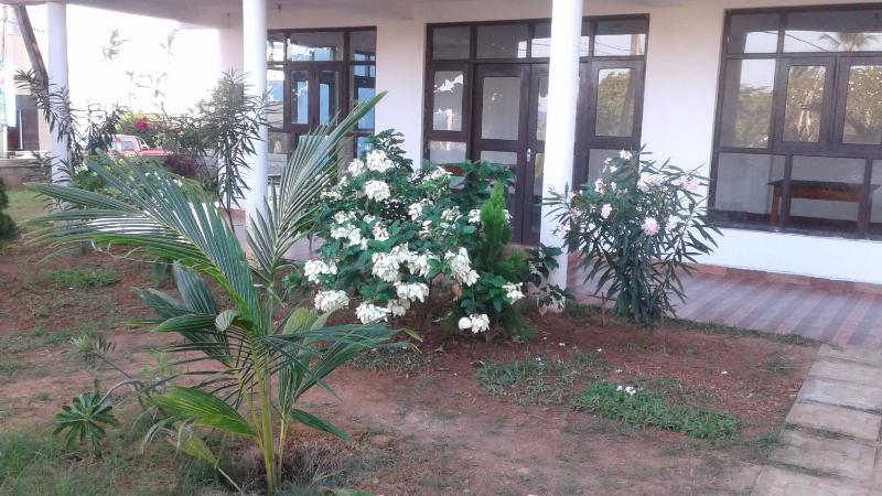 Masha Beach Inn - image 25
