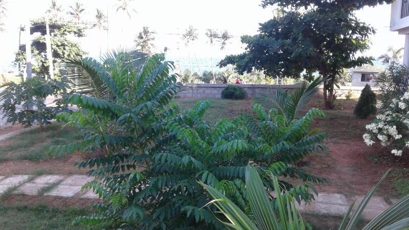 Masha Beach Inn - image 49