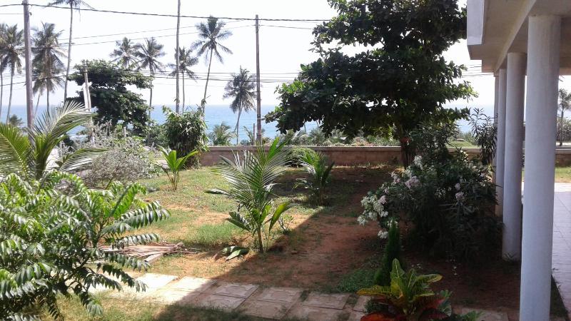Masha Beach Inn - image 8
