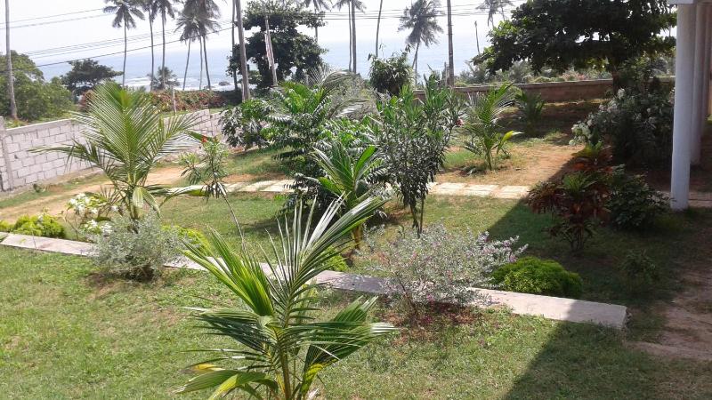 Masha Beach Inn - image 32