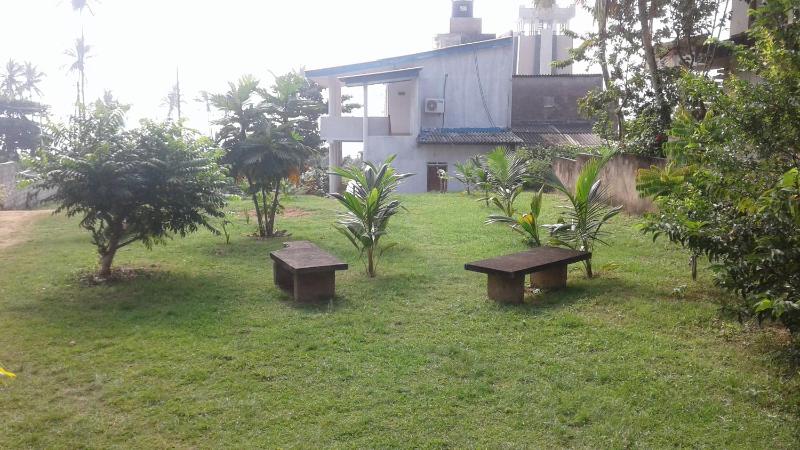 Masha Beach Inn - image 20