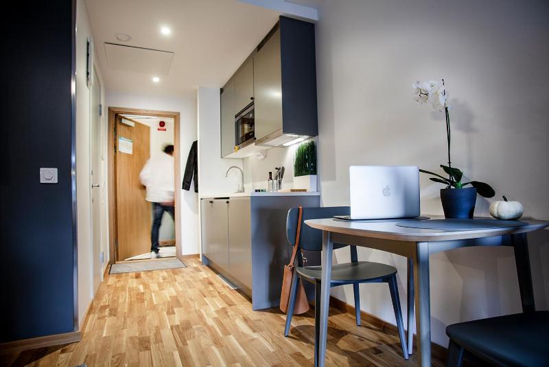 Studio King with Kitchenette image 1
