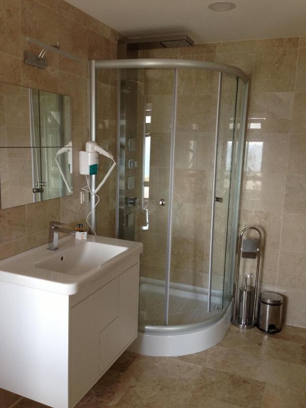 Premium Family Room with Spa Bath image 2