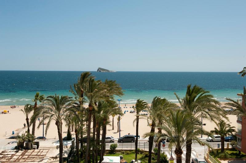 Hotel El Palmeral - image 27