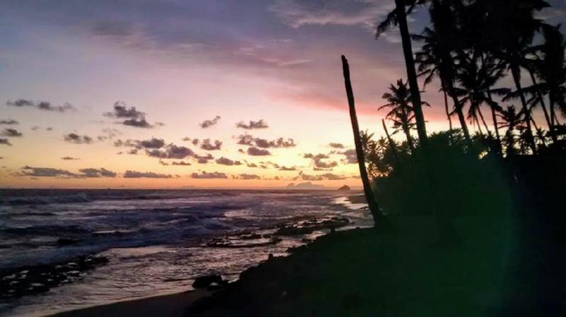 Surfing Life - image 12