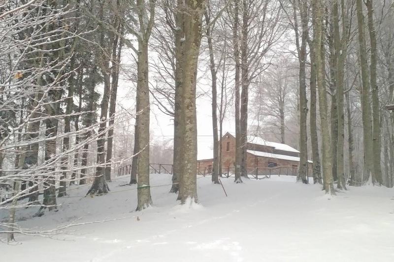 Holiday Home image 3