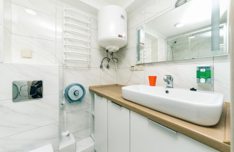 One-Bedroom Apartment image 3