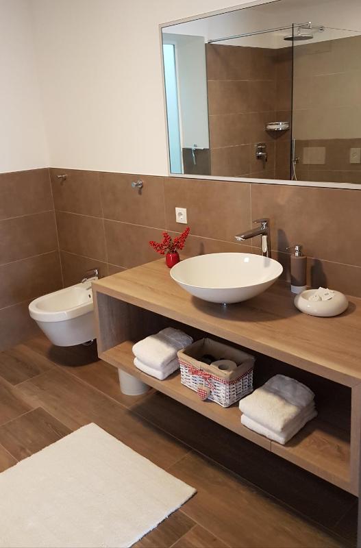 Large One-Bedroom Apartment image 3