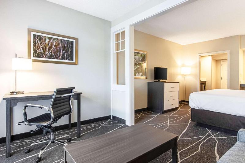 Standard King Room with Sofa Bed - Non-Smoking image 3