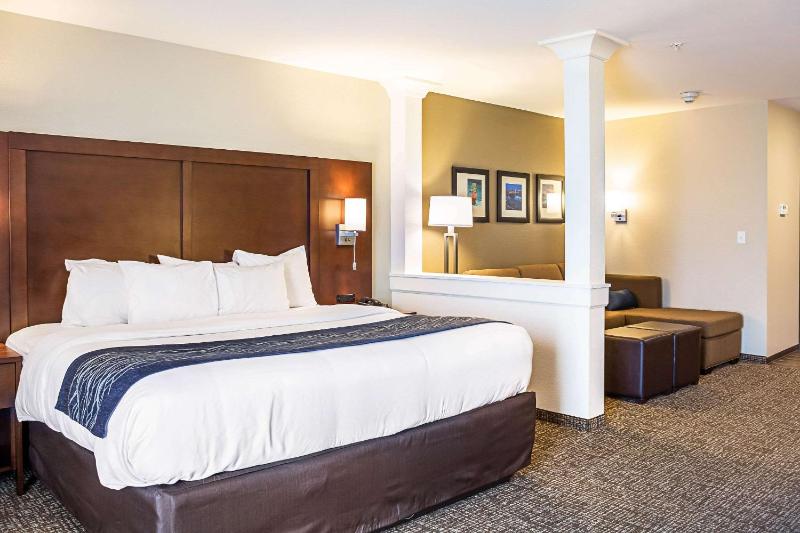 Large King Suite with Sofa Bed - Non-Smoking image 2
