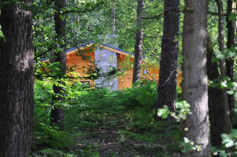 Three-Bedroom Chalet image 3
