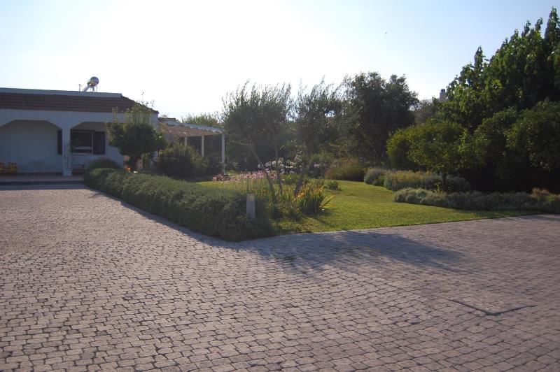 Villa Garden - image 38