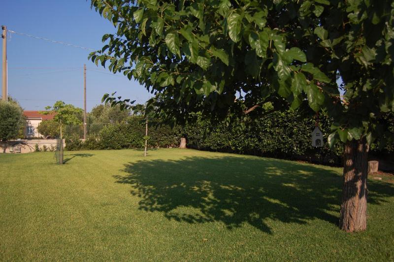 Villa Garden - image 9