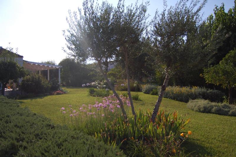 Villa Garden - image 34