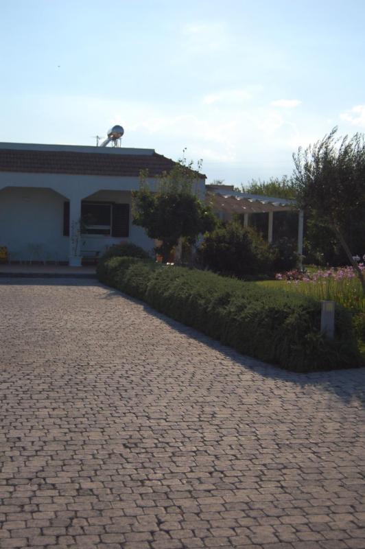 Villa Garden - image 17