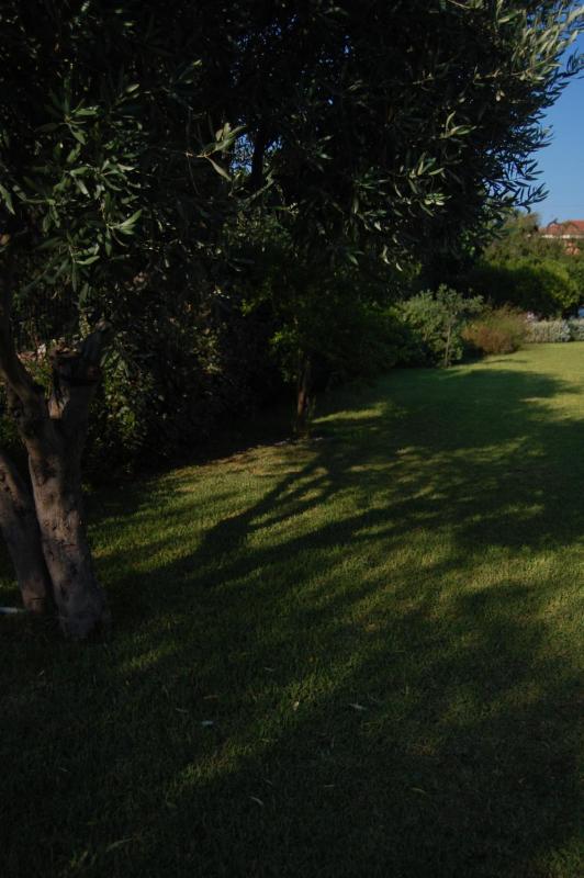 Villa Garden - image 19