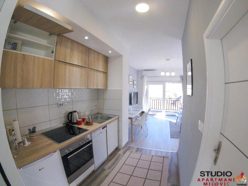 One-Bedroom Apartment image 4