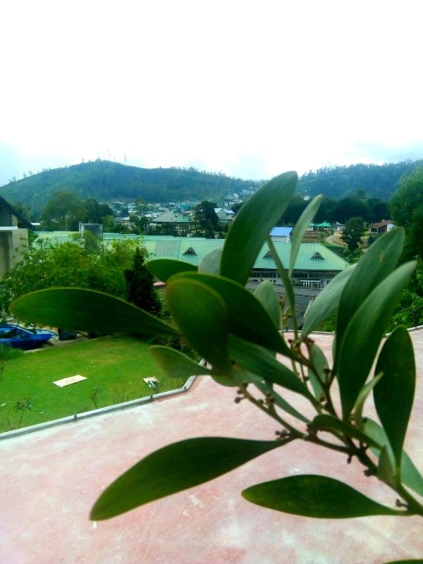 Nuwara eliya mountain view homestay - image 3