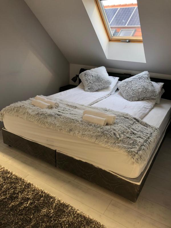 Apartment with Garden View image 4