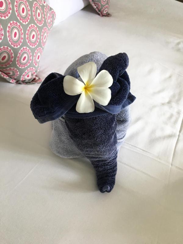 Nil Menik Villa - image 13