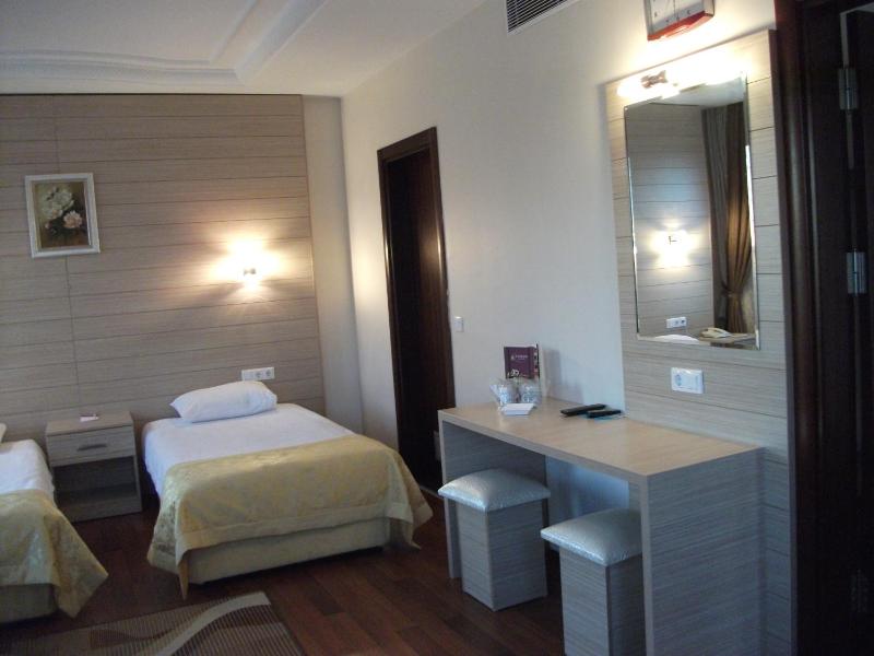 Double or Twin Room image 3