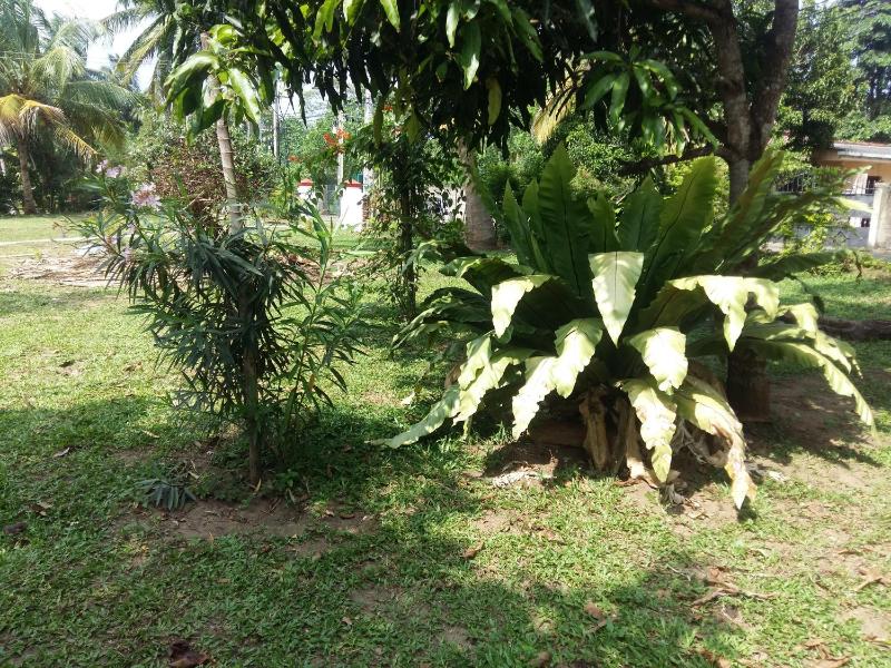 Glorious Villa - image 35