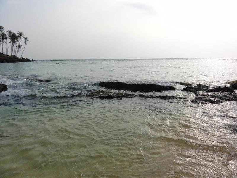 The Spring Holiday - image 10