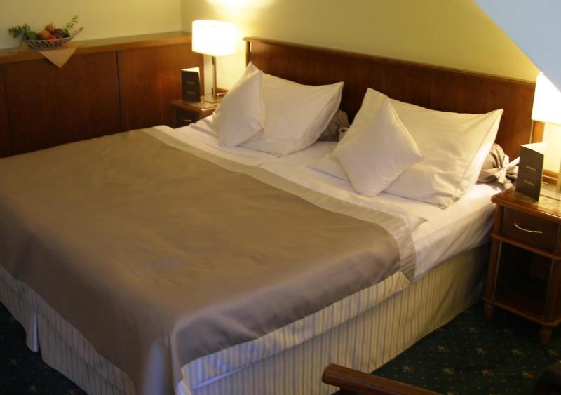 Standard Double or Twin Room image 3