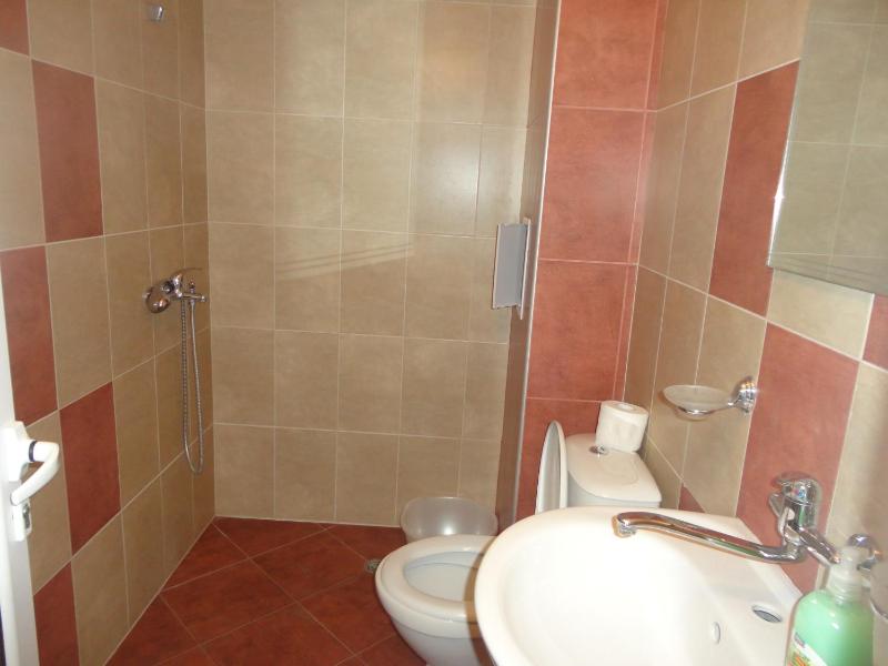 One-Bedroom Apartment with Terrace image 4