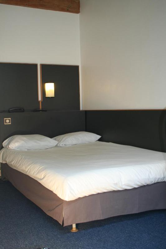 Hôtel La Chartreuse - image 10