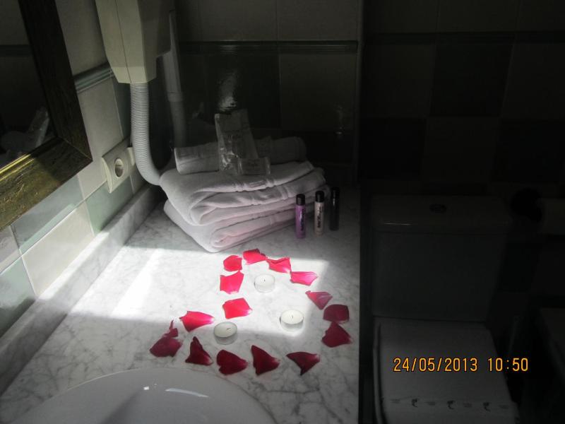 Double or Twin Room image 3