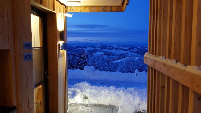 One-Bedroom Chalet with Terrace  image 3