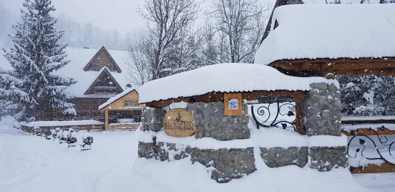 Magnat Inn Sauna & Relax - image 36
