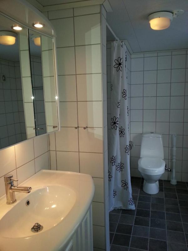One-Bedroom Apartment image 3