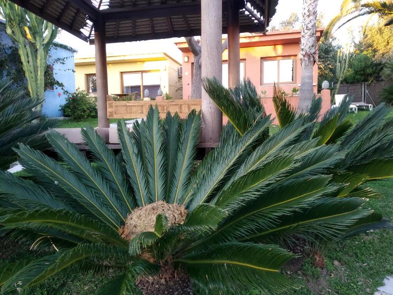 Family Bungalow image 3