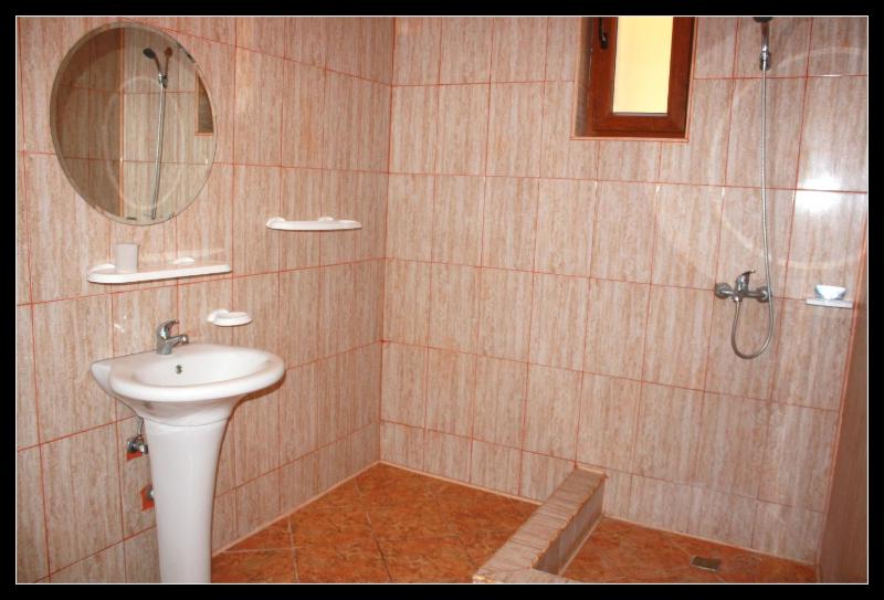 One-Bedroom Apartment image 2