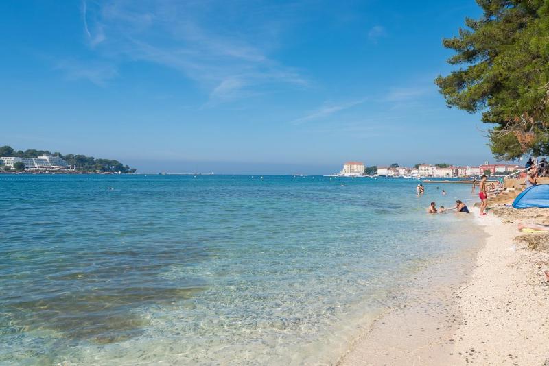 Spacious Three-Bedroom Villa Balun with Pool - image 10