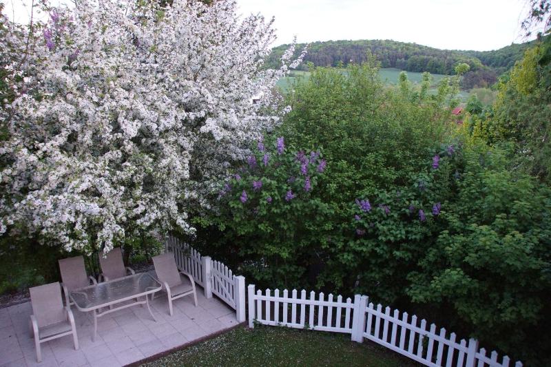 Apartment with Garden View image 3