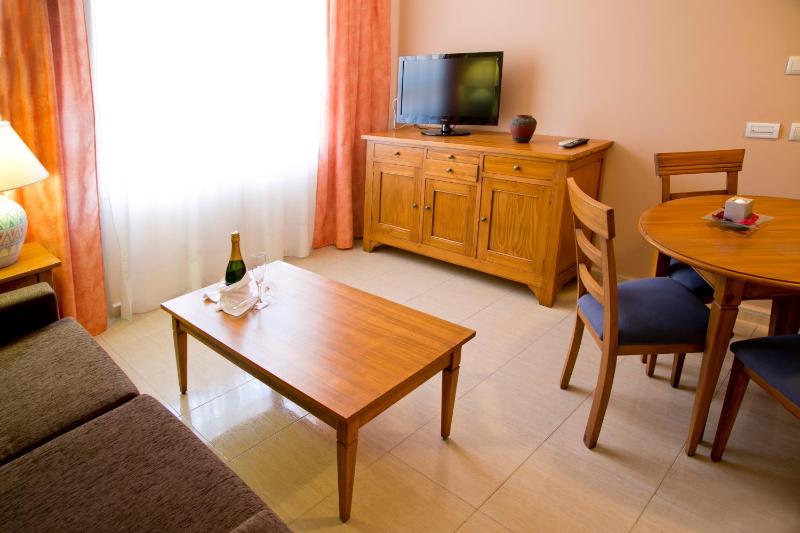 One-Bedroom Apartment (2 +1) image 3
