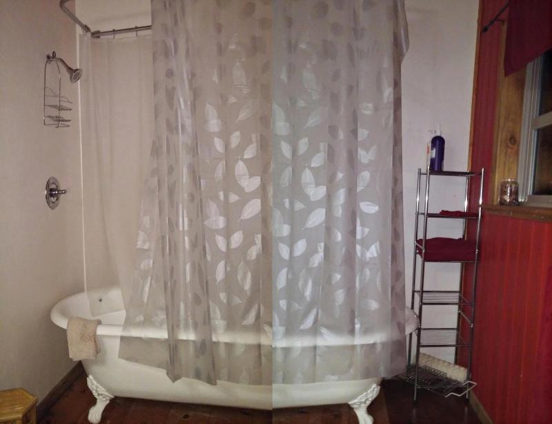 Studio with Terrace image 2