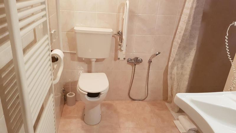 Comfort Triple Room with Shower image 1