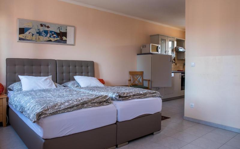 Studio Apartment image 2