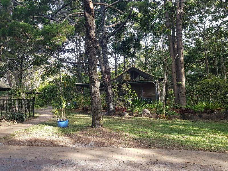 Byron Bay Rainforest Resort - image 8