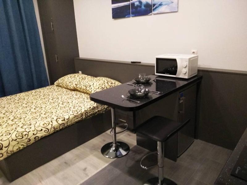 One-Bedroom Apartment image 4